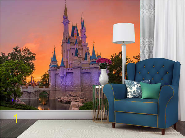 Cinderella s Castle Sunset uihnvy