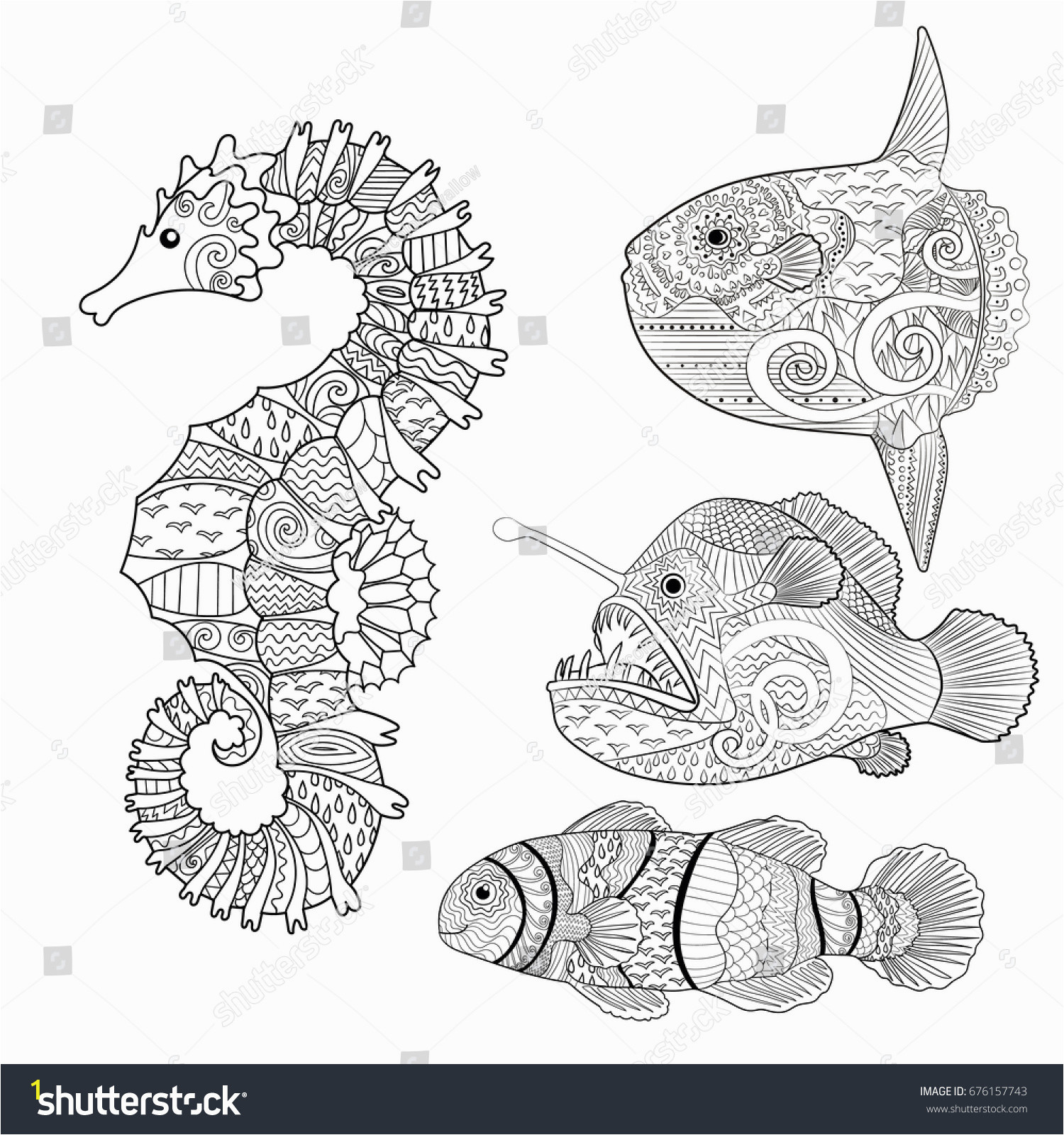 stock vector set of fish sea horse moon fish monk fish and clown fish collection of anti stress coloring