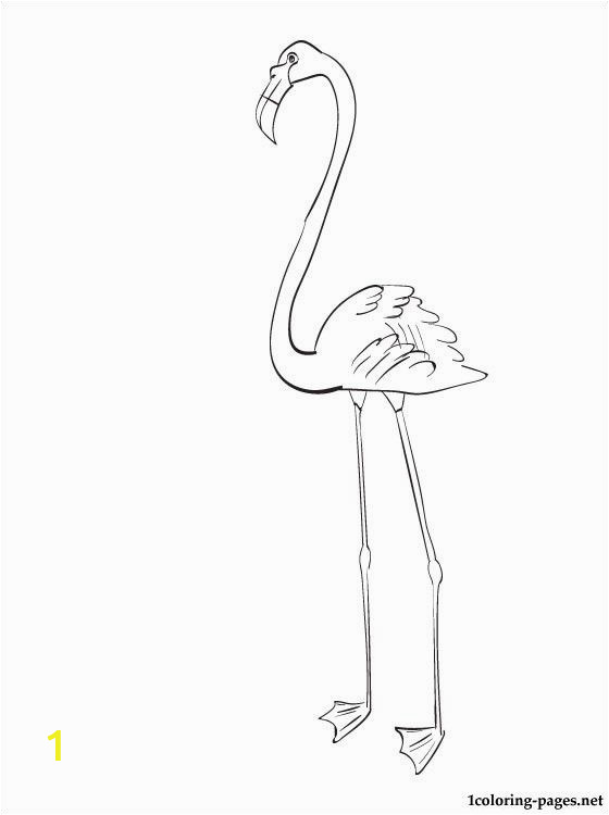 Coloring Page Of Flamingo Flamingo Coloring Pages