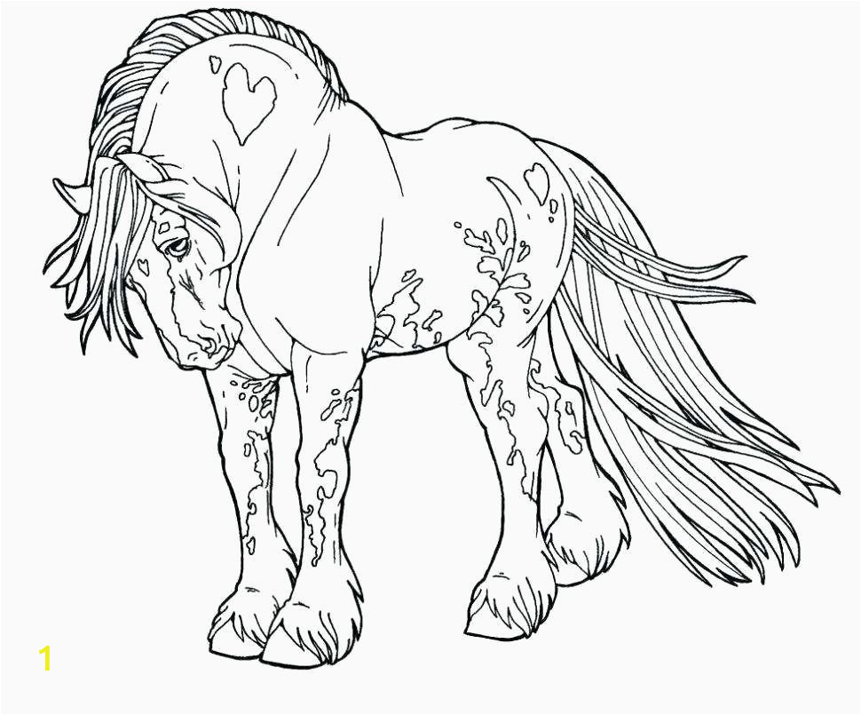 elegant coloring pages horse to print of coloring pages horse to print