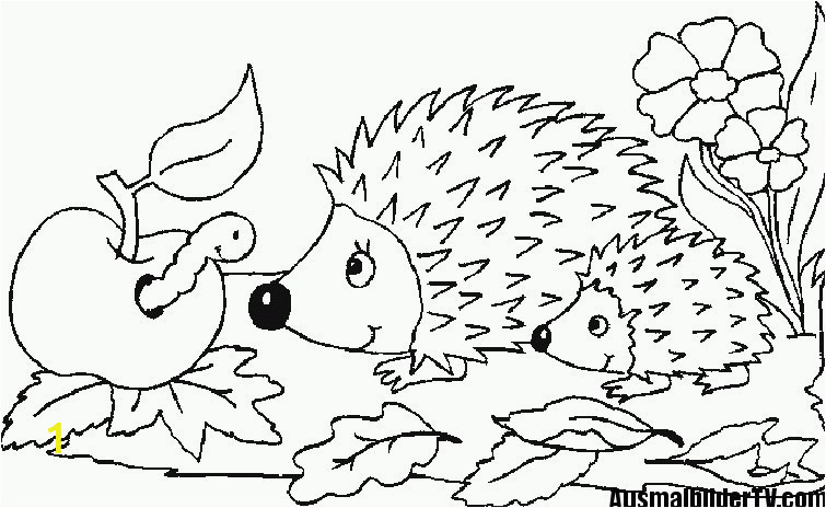 Coloring Pages Of Cartoon Flowers 10 Best Ausmalbilder Herbst 14 Ausmalbilder Herbst Igel