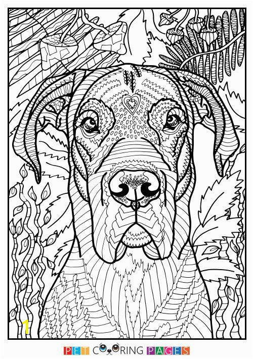 Coloring Pages Of Great Danes Free Printable Great Dane Coloring Page Available for