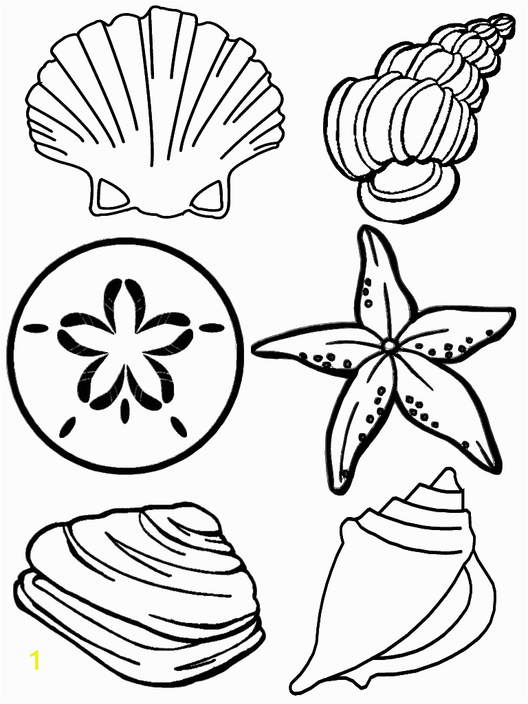 Coloring Pages Of Marines Free Printable Seashell Coloring Pages for Kids