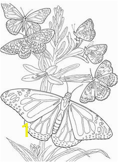 5a6ac45c0dc8a6b beb0dde printable adult coloring pages coloring pages for adults