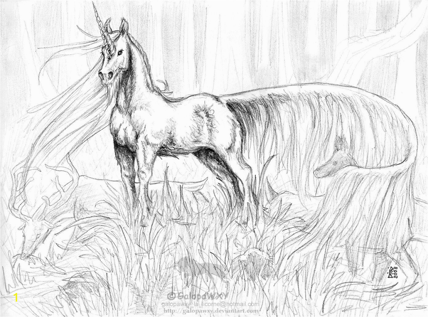 Detailed Unicorn Coloring Pages the Great Unicorn by Galopawxy