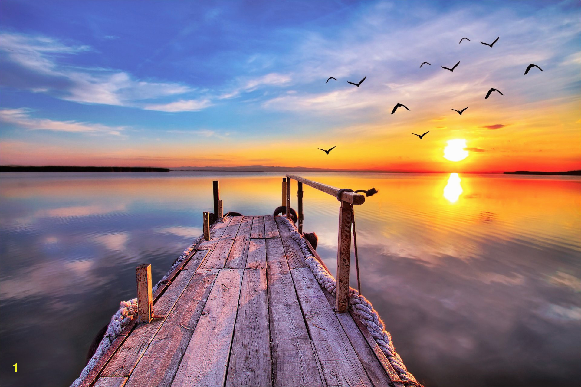 Early American Wall Murals Early Bird Dock Fly by Sunrise Sunset