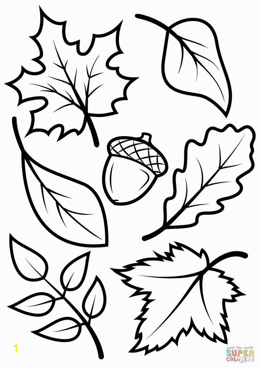 Easy Fall Coloring Pages Fall Coloring Pages for Kids Fall Leaves and Acorn Coloring