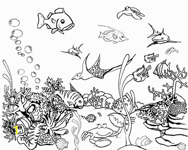 41c284e2d55f9d46b90f9e652ab87e55 hawaiian fish coloring pages tropical fish tank coloring page 600 480