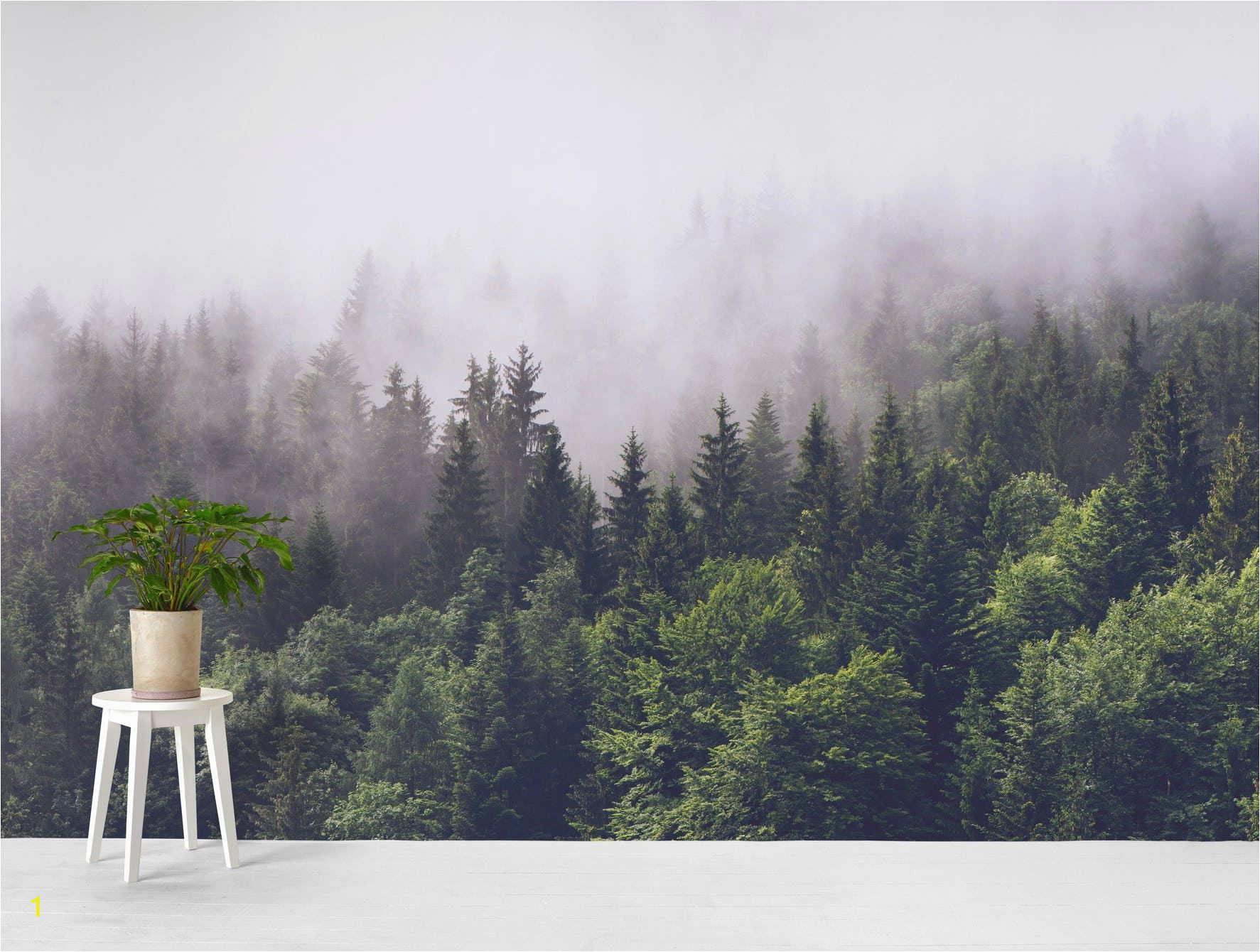Foggy forest Wall Mural Cloudy forest Wall Mural In 2019 Decor