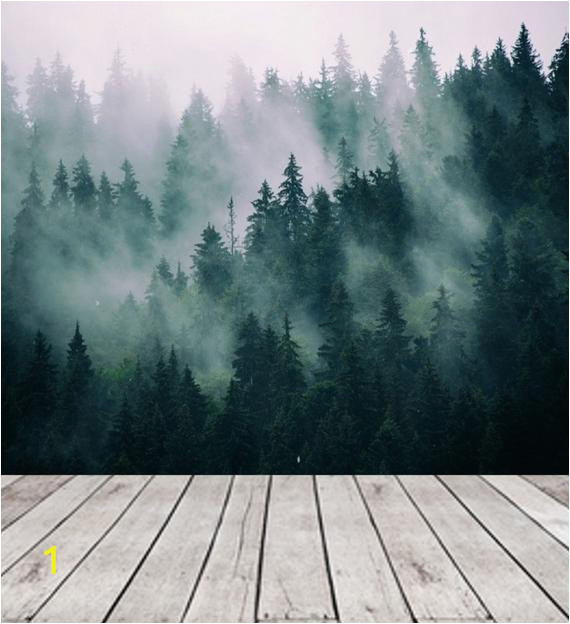 Foggy forest Wall Mural Green forest Wallpaper Mural Removable Peel and Stick Wallpaper forest Wall Mural Foggy forest Remove Wallpaper Wall Mural forest 135