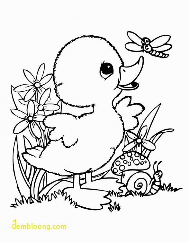 unique coloring pages bird pdf of coloring pages bird pdf