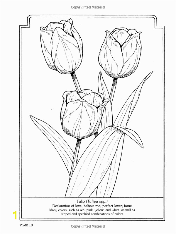 Free Coloring Pages Of Tulips the Language Of Flowers Coloring Book Dover Nature Coloring