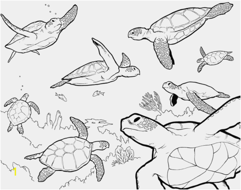 lost ocean coloring book pictures underwater animals coloring pages inspirational ocean animals of lost ocean coloring book