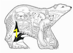 bf53a0969c7de0cdde76c153eb77d608 coloring pages for adults black bear