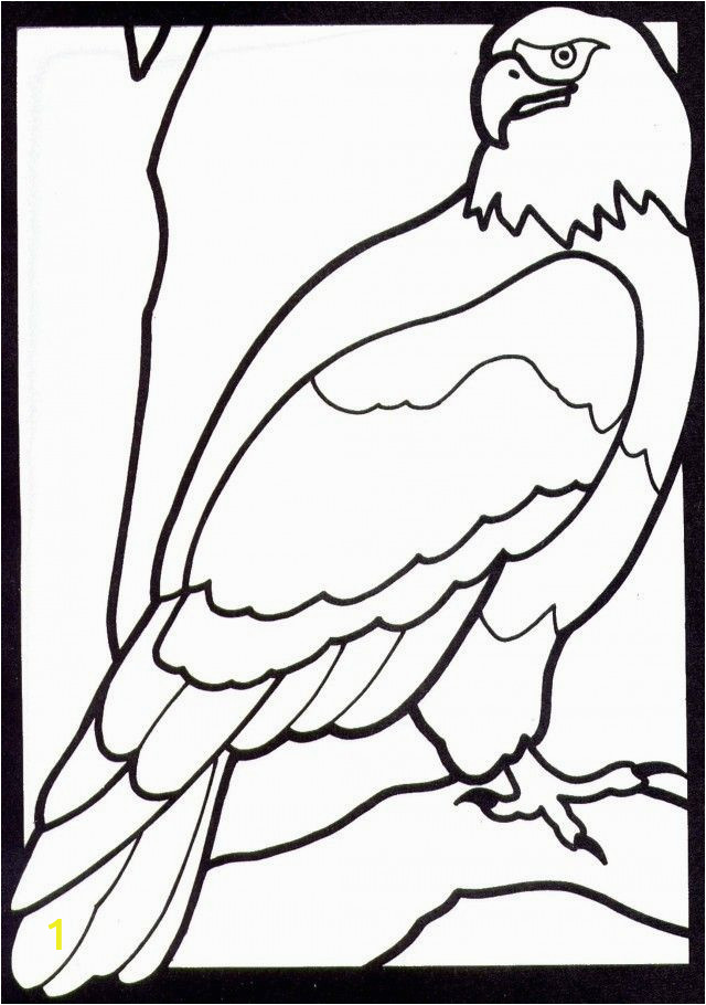 Free Veterans Day Coloring Pages Fascinating Coloring Pages Eagle for Kindergarden Picolour
