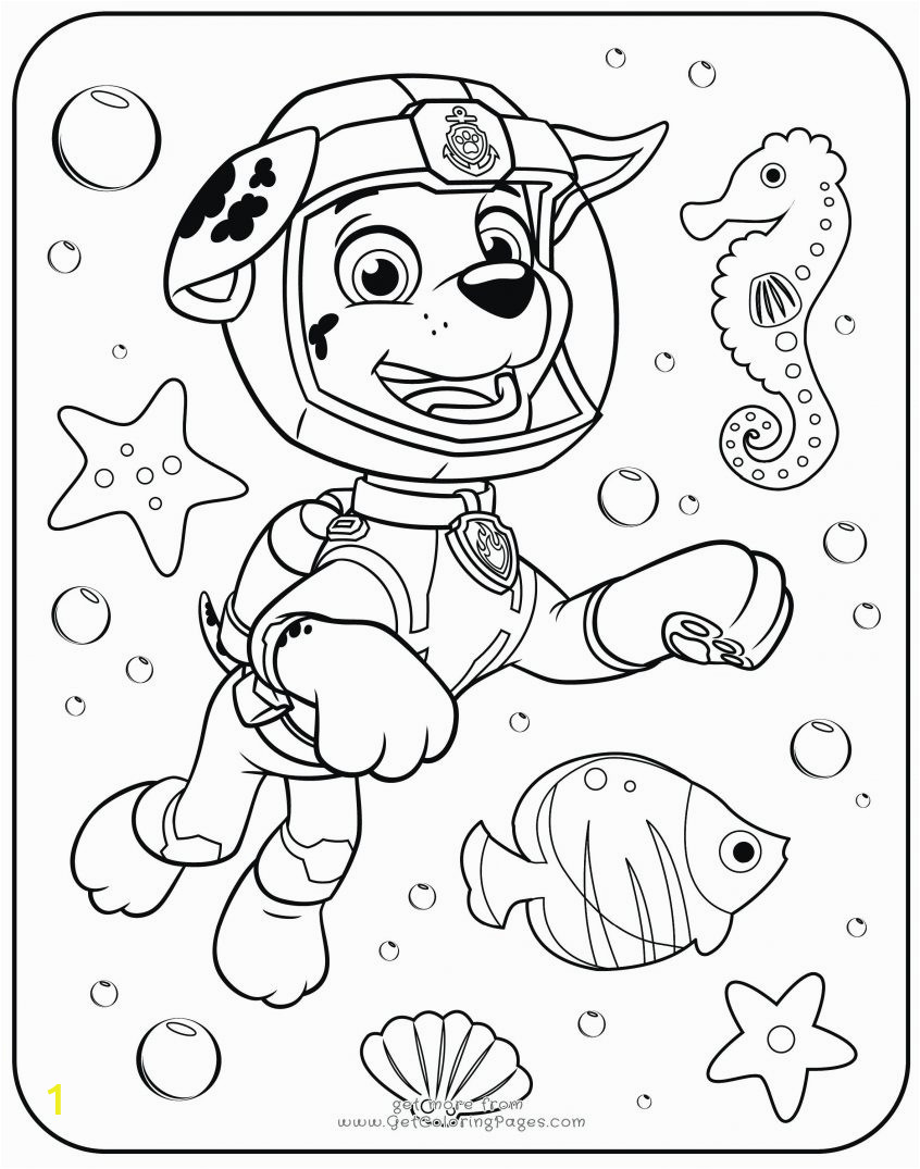 phenomenal picture to coloring page photo ideas from paw patrol org skye pages lassosheet co marshall colouring chase printable sheet