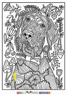 e49a9cdd67a7aeef87d b5a57edf coloring sheets adult coloring
