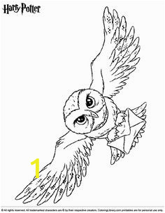 Harry Potter Owl Coloring Pages | divyajanani.org