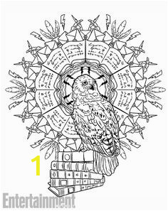 8bebf9cdf93ef8d88f9a8d32c5681bce owl coloring pages free coloring