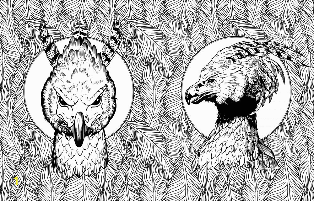 Harry Potter Owl Coloring Pages | divyajanani.org