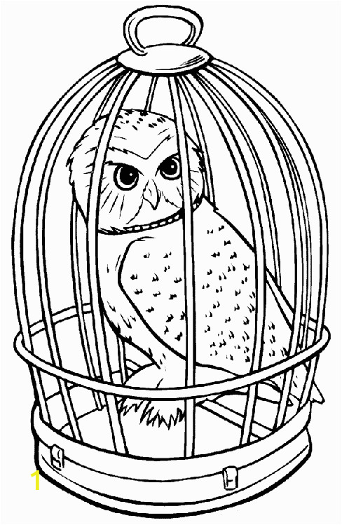 Harry Potter Owl Coloring Pages | divyajanani.org