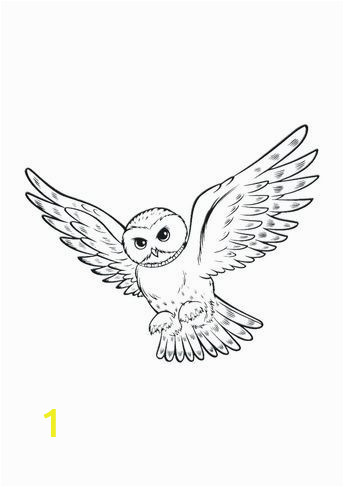 Harry Potter Owl Coloring Pages Pin Auf Ð¥Ð¾Ð³Ð²Ð°ÑÑÑ