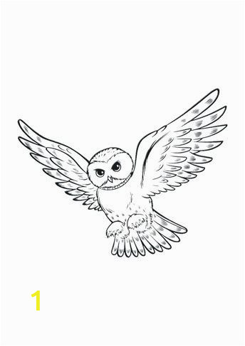 Harry Potter Owl Coloring Pages Pin Auf ХогваÑÑÑ