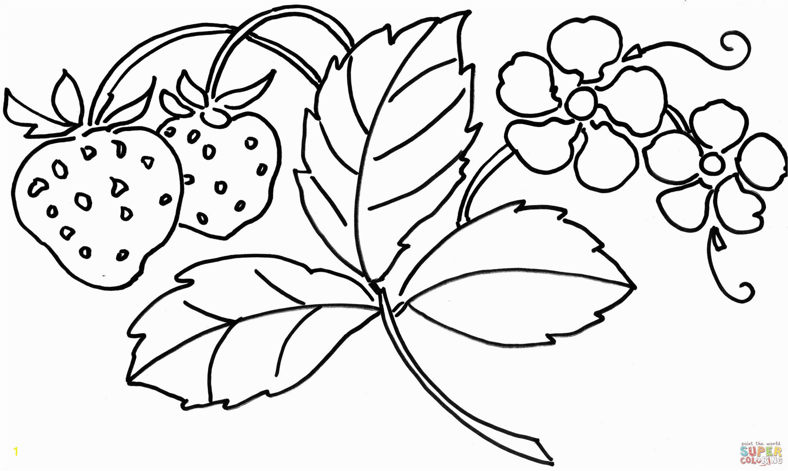 strawberry flower coloring page printable hibiscus pages free turkey my little pony fish puppy minecraft adult pictures for kids color by number roblox shopkins scaled