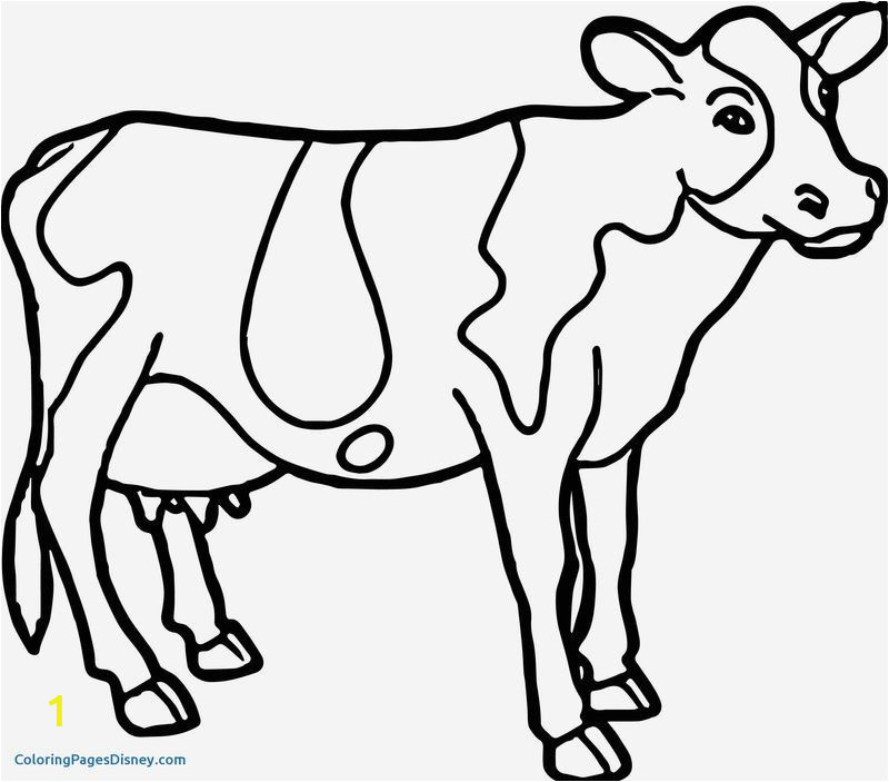 Highland Cow Coloring Page | divyajanani.org