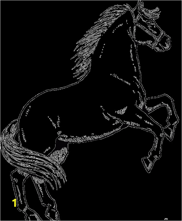 Horse Dressage Coloring Pages Basics Of Drawing Fine Arts Week 1 for Classical