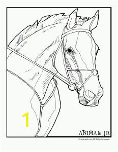 Horse Racing Coloring Pages 20 Best Konji Images