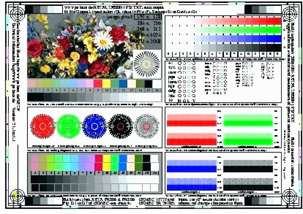 canon color printer test page pdf