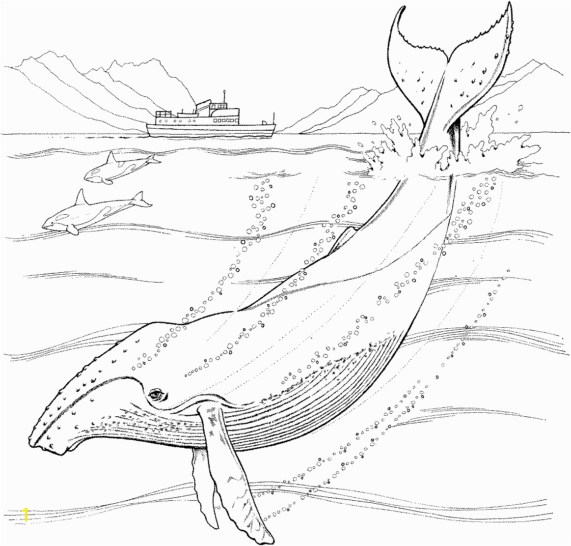 Coloring Whale Humpback Pages Whales Outline Animals Ocean Sheets ...