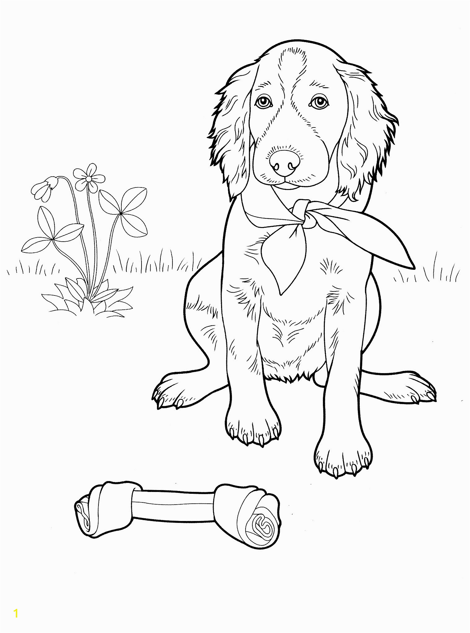 irish setter coloring pages unique pin od preschool and kindergarden and education na dogs cats hamsters of irish setter coloring pages irish coloring pages