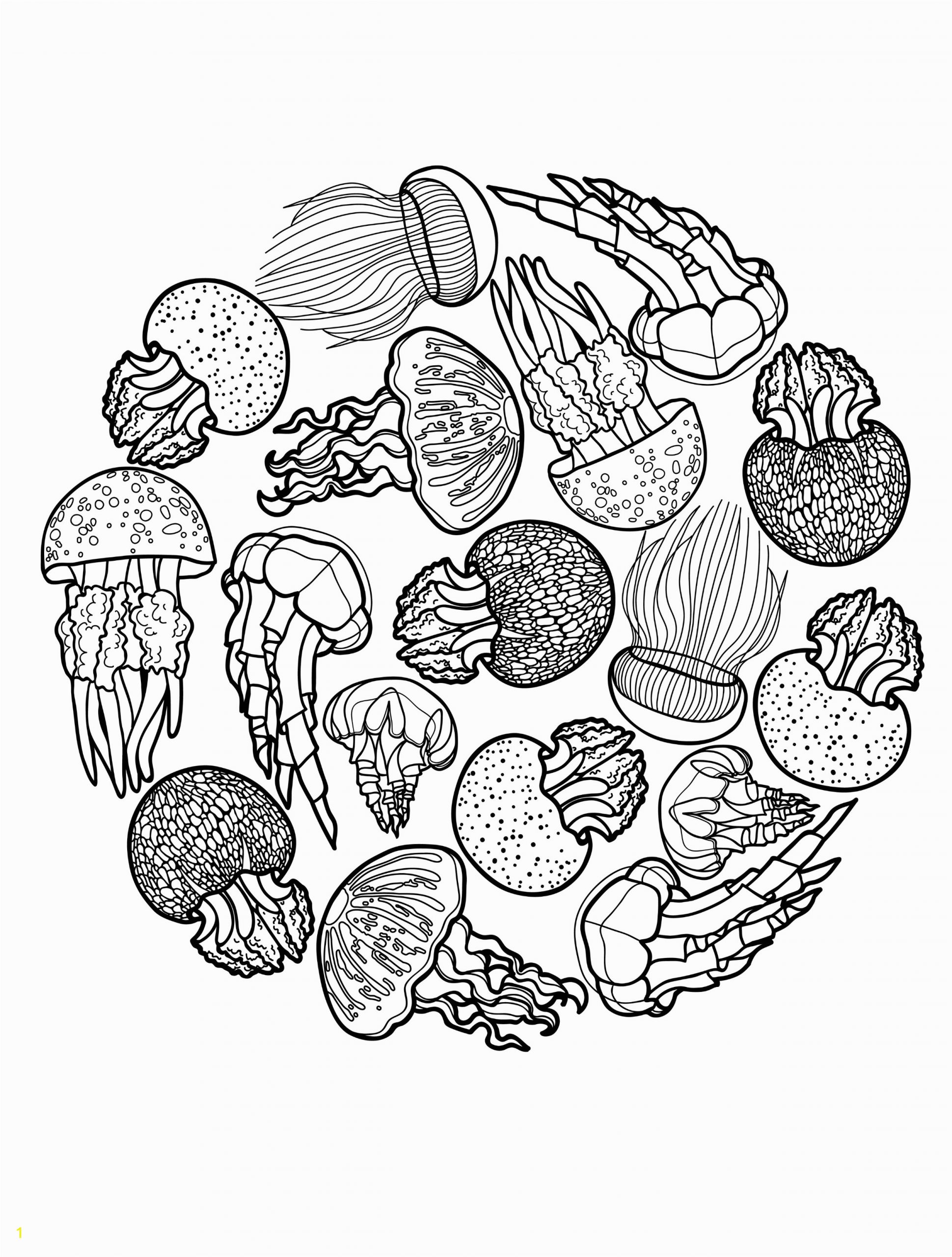 021b58fbc5d8c0dc2cc346d3c6e adult coloring pages jelly fish free coloring sheets 2500 3300