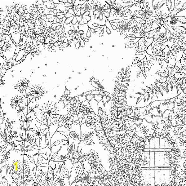 Johanna Basford Secret Garden Coloring Pages Pin Auf Joanna Basford Secret Garden