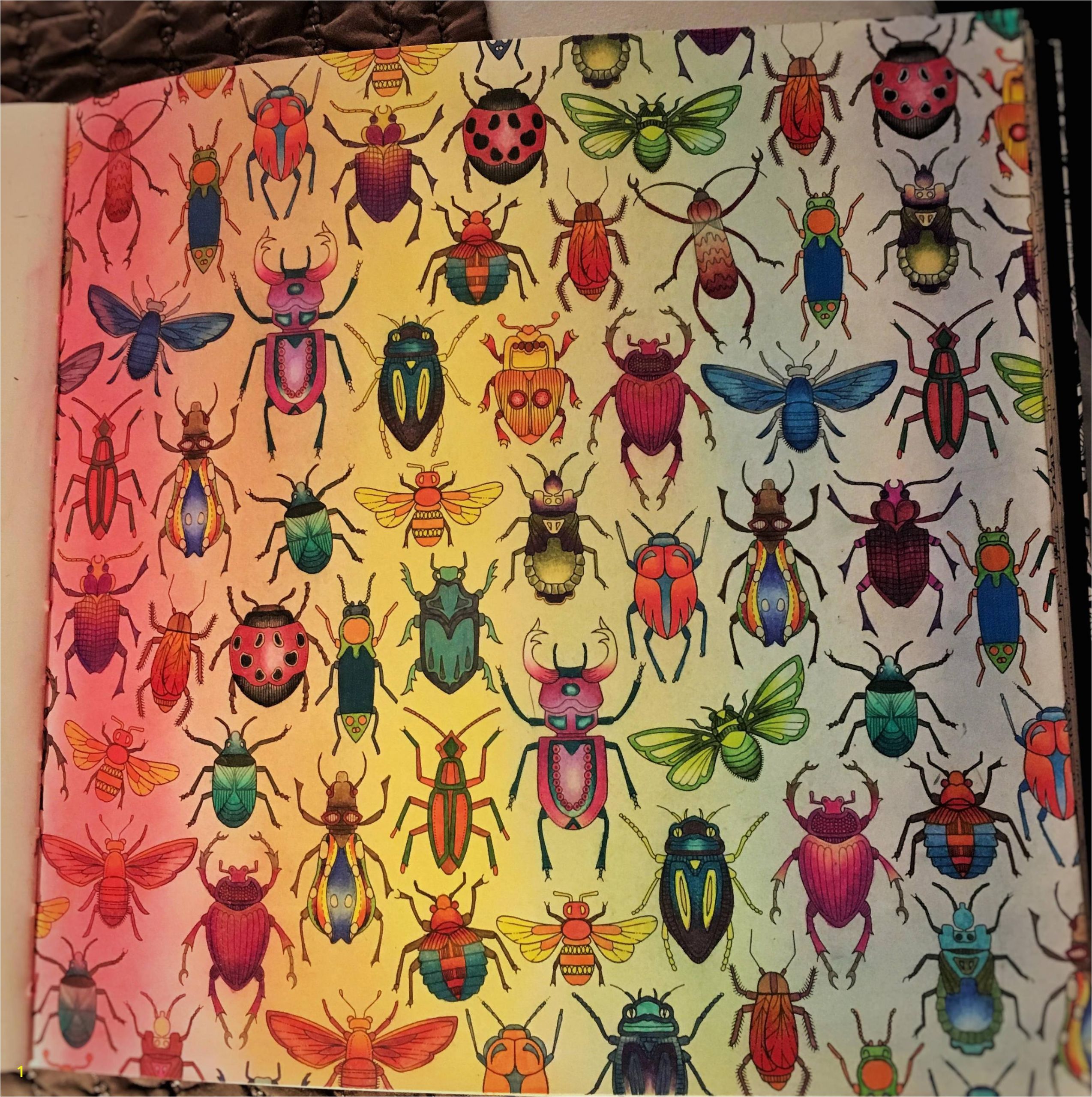 Johanna Basford Secret Garden Coloring Pages Super Frustrating Bug Page From "secret Garden" Imgur