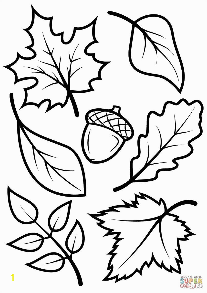 Kindergarten Fall Coloring Pages Fall Coloring Pages for Kids Fall Leaves and Acorn Coloring