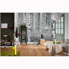 Komar Birch forest Wall Mural 34 Best Wall Murals Images