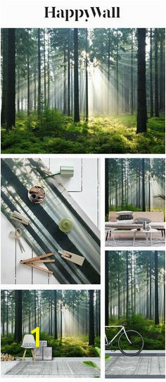Lake In the Woods Wall Mural 542 Best forest Wall Murals Images In 2020