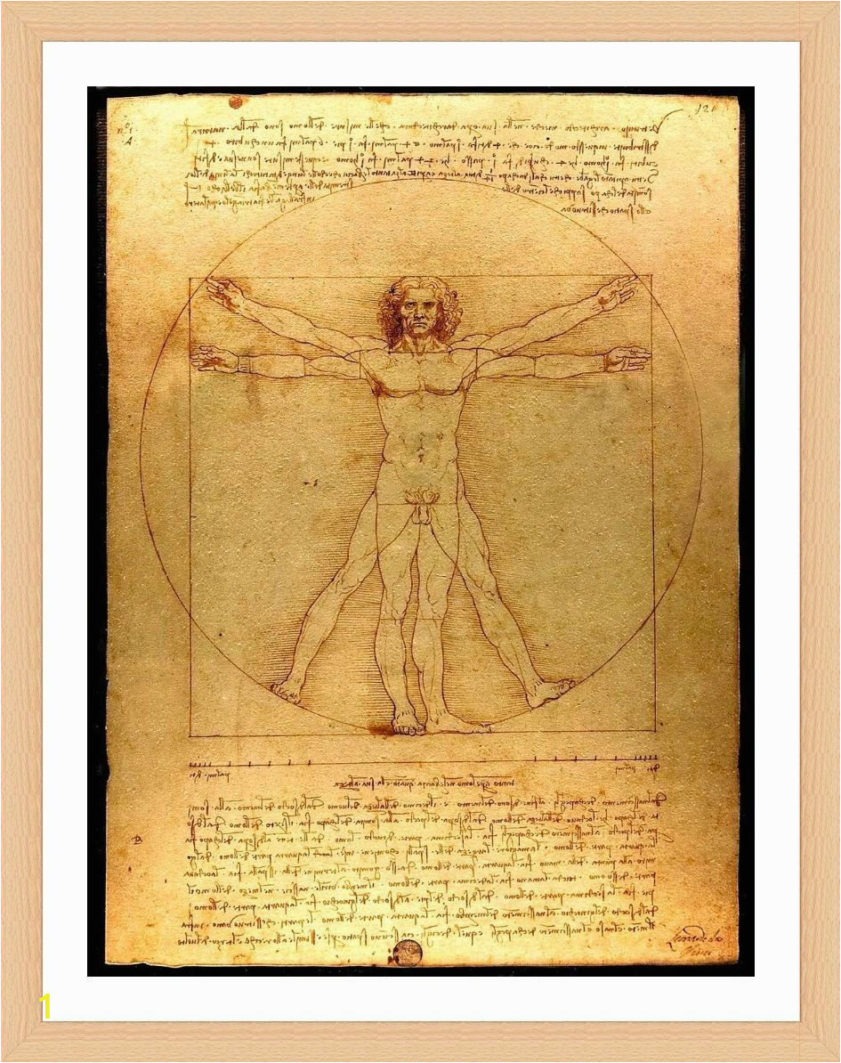 Leonardo Da Vinci Wall Murals Amazon Alonline Art the Vitruvian Man Leonardo Da