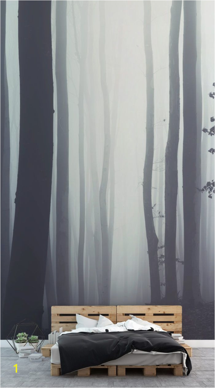 Misty forest Wall Mural Misty forest Wallpaper
