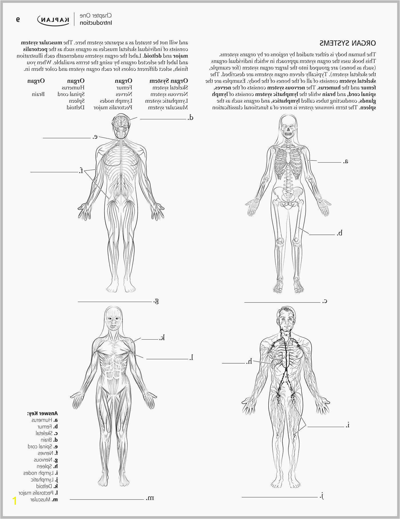 Muscular System Coloring Page 25 Best S Integumentary System Worksheet Coloring