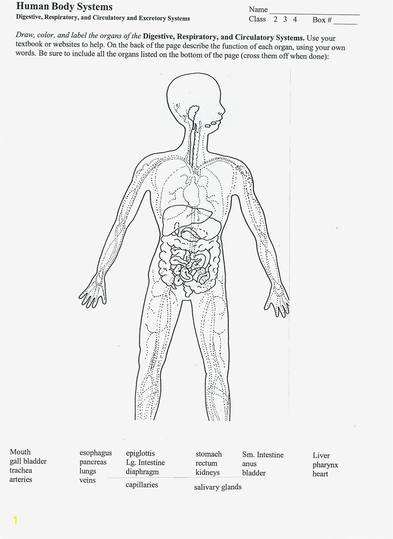 Muscular System Coloring Page for Kids Color Pages Skeletal System Coloring Page Kids Pages