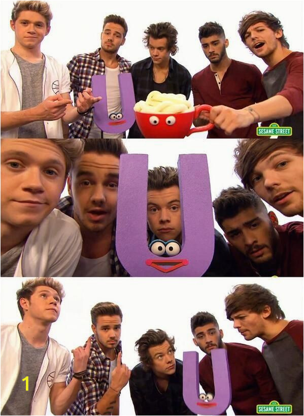 One Direction Wall Mural E Direction to Appear On Sesame Street