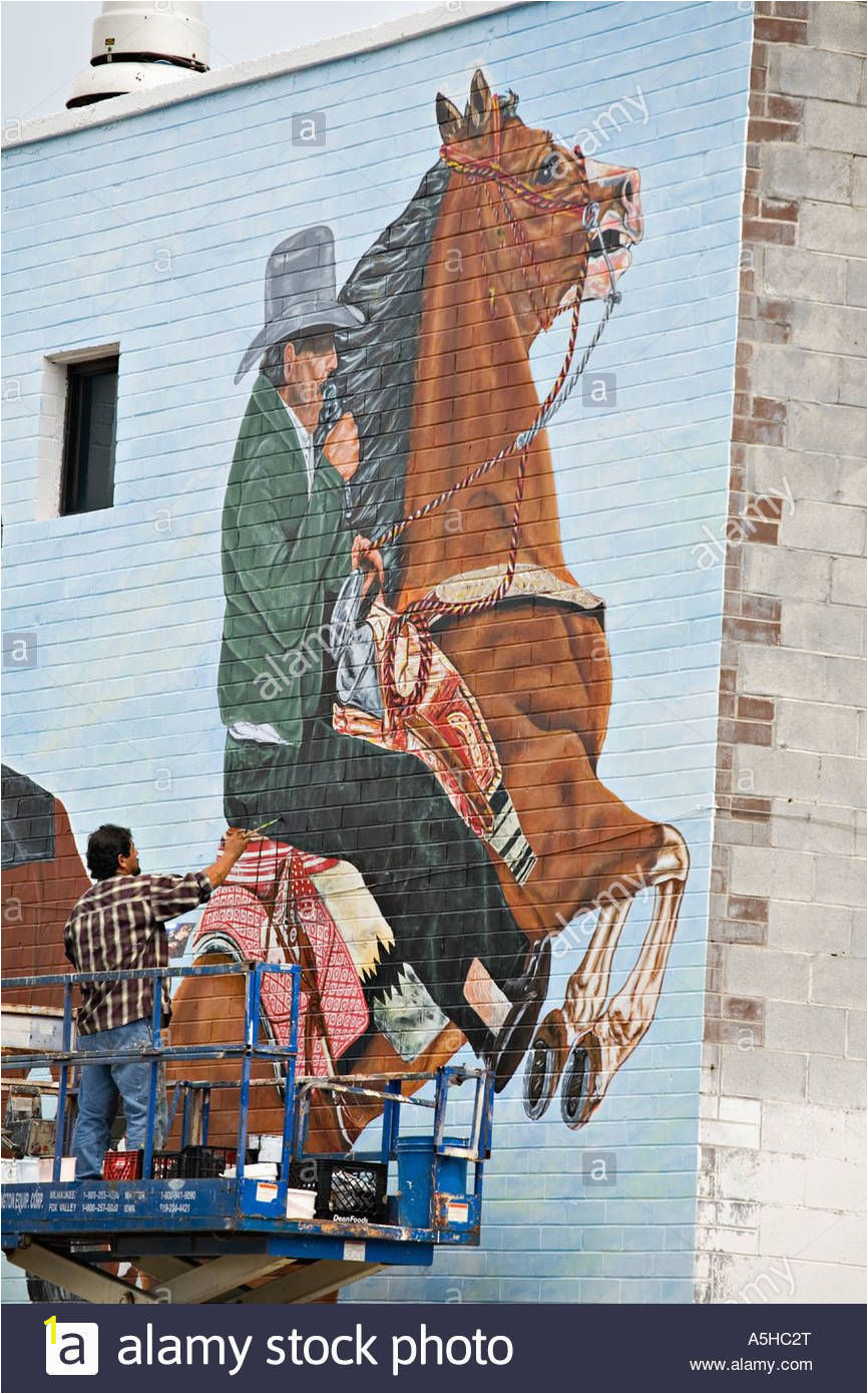 Painting Murals On Exterior Walls Illinois Chicago Adult Mexican Male Paint Outdoor Mural