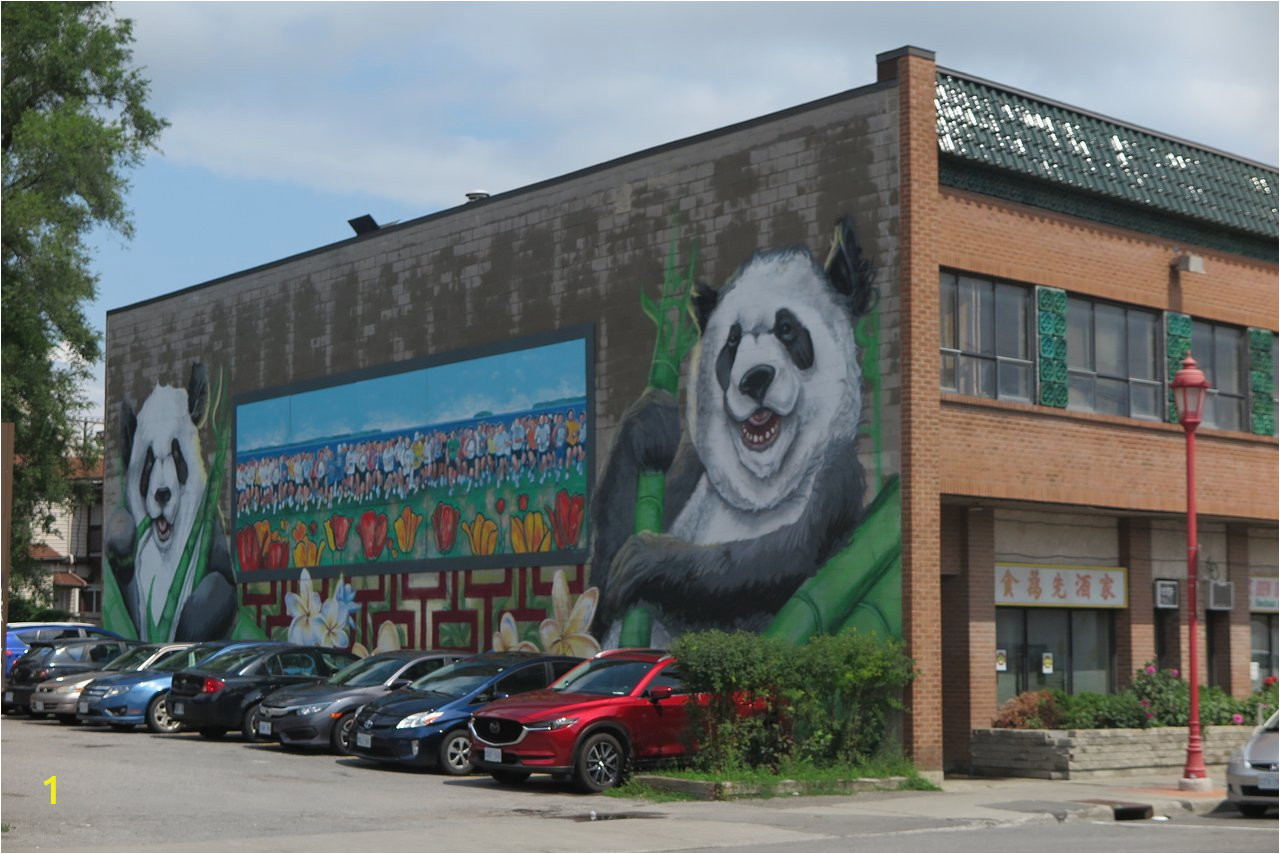 Party City Wall Murals Chinatown Ottawa Aktuelle 2020 Lohnt Es Sich Mit Fotos