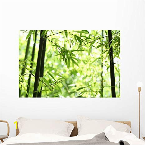 Peel and Stick Wall Murals Amazon Amazon Wallmonkeys Bamboo Wall Mural Peel and Stick