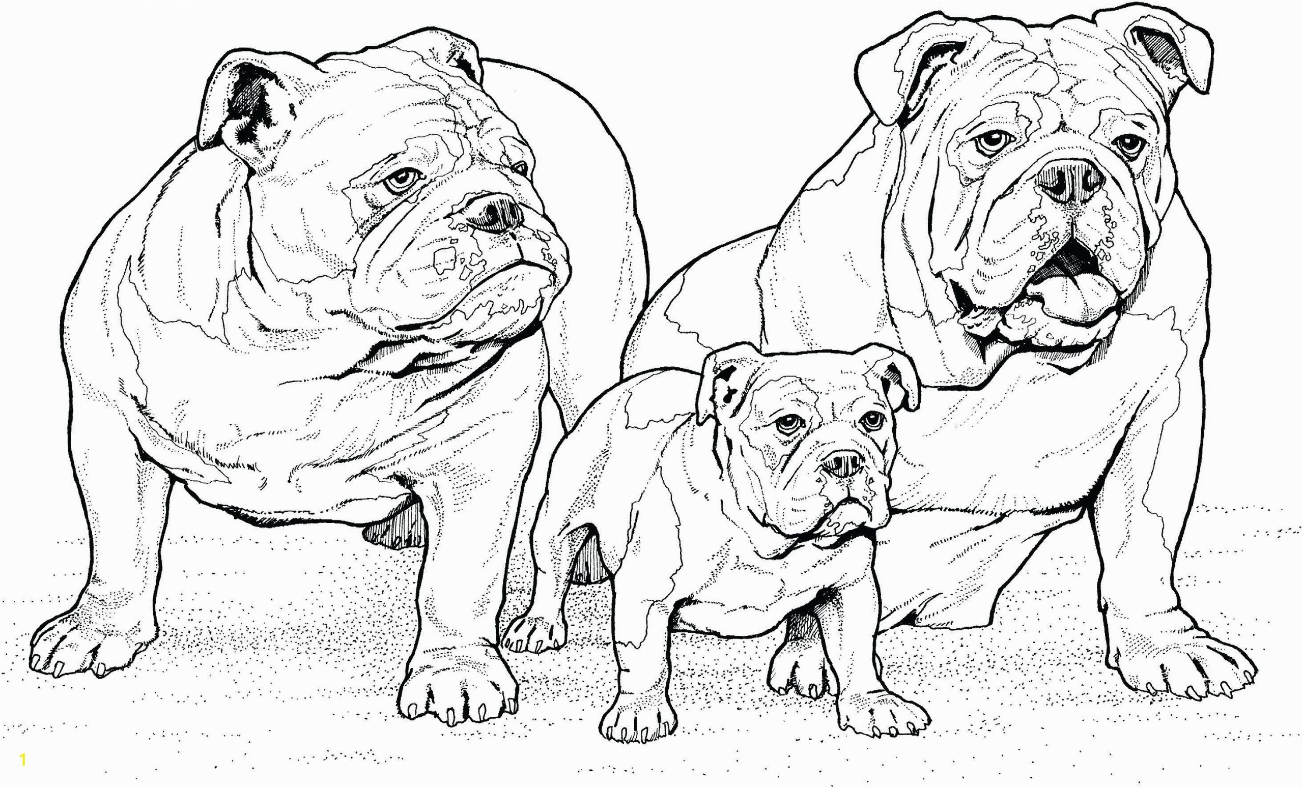 Pillow Pet Coloring Page Printable Dog Coloring Pages Ideas for Kids