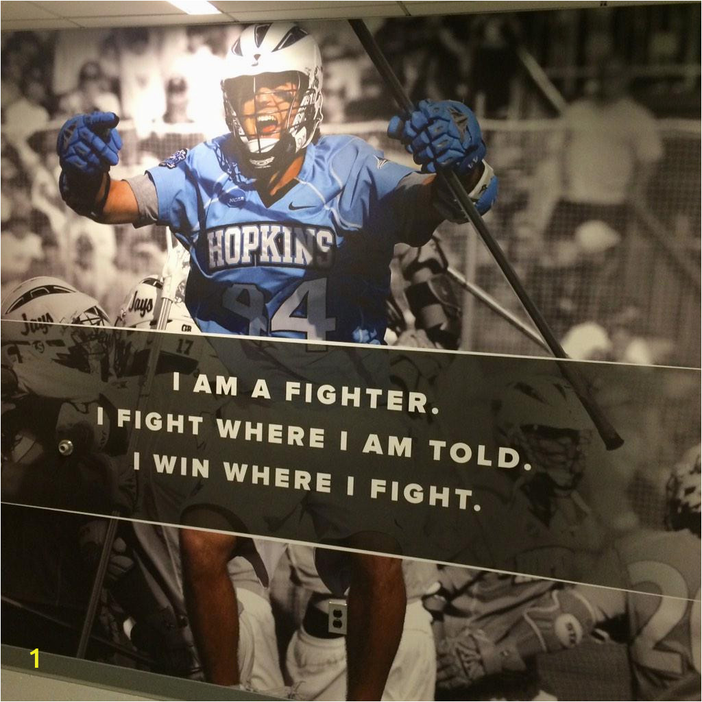 Play Ball Wall Mural Charlotte Hounds On Twitter "“ Jhumenslacrosse New Wall